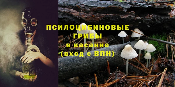 spice Горняк