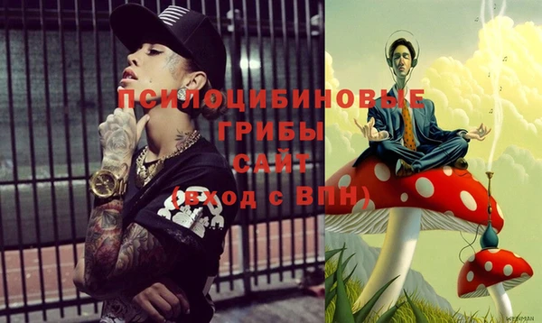хмурый Горнозаводск