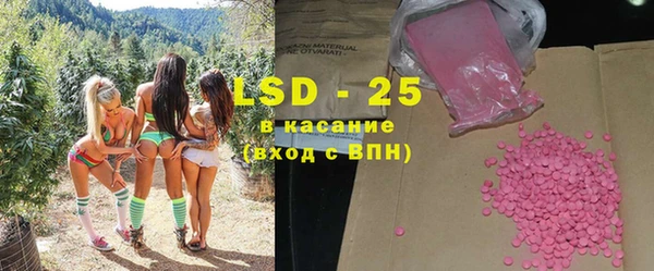 spice Горняк
