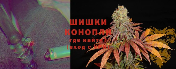 spice Горняк